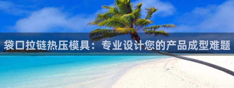 易倍英语官方网站登录：袋口拉链热压模具：专业设计您的产品
