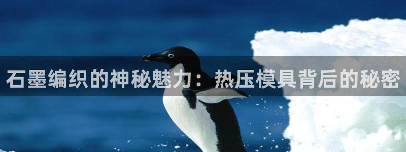 emc全站下载地址：石墨编织的神秘魅力：热压模具背后的秘