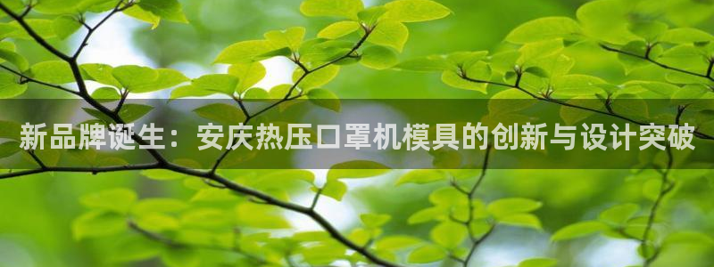 易倍emc安全吗：新品牌诞生：安庆热压口罩机模具的创新与