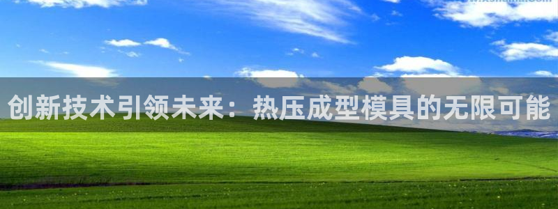 易倍网络技术有限公司怎么样：创新技术引领未来：热压成型模