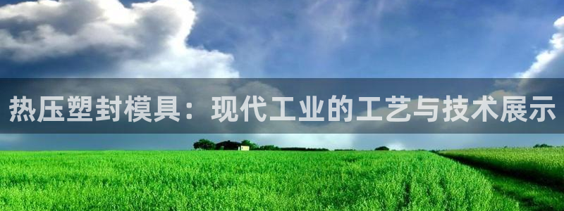 emc易倍官方平：热压塑封模具：现代工业的工艺与技术展示