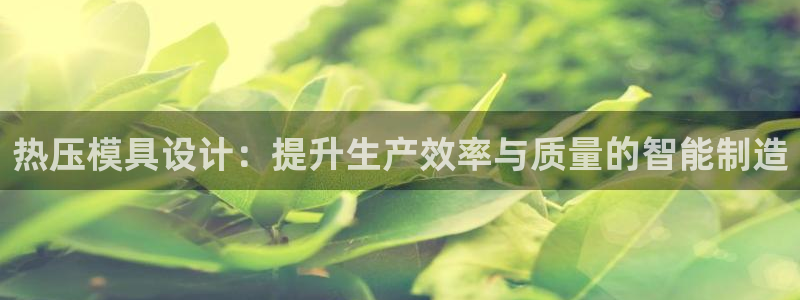 易倍单词官网下载：热压模具设计：提升生产效率与质量的智能