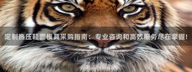 易倍申和易倍清的区别：定制热压鞋面模具采购指南：专业咨询