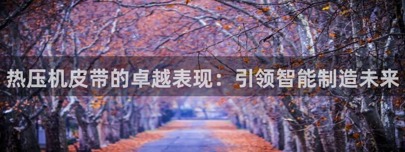 emc易倍全站官网：热压机皮带的卓越表现：引领智能制造未