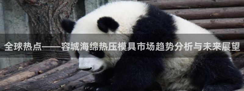 易倍申服用方法：全球热点——容城海绵热压模具市场趋势分析