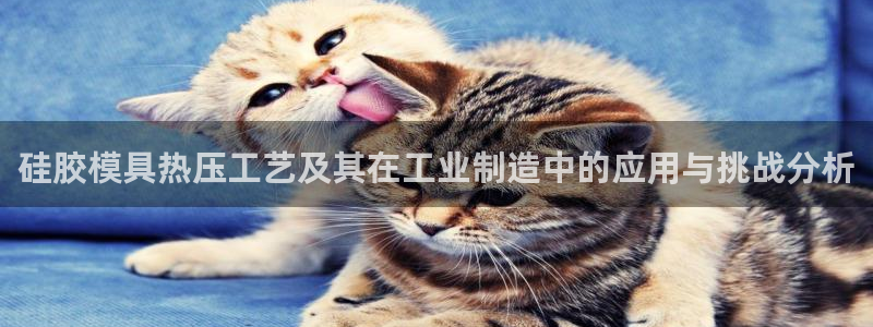 EMC易倍官方网址：硅胶模具热压工艺及其在工业制造中的应