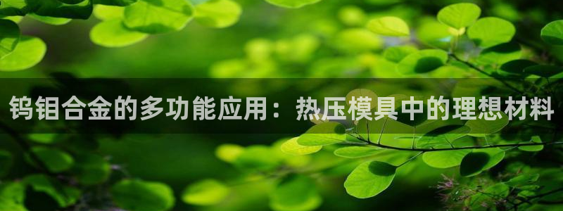 emc下载：钨钼合金的多功能应用：热压模具中的理想材料