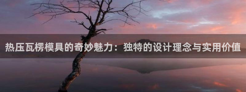 易倍下载手机版：热压瓦楞模具的奇妙魅力：独特的设计理念与