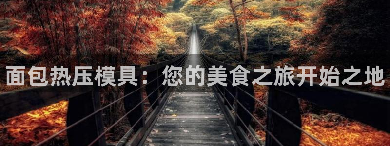 易倍单词官方网站：面包热压模具：您的美食之旅开始之地