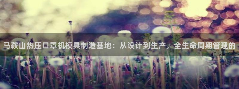 易倍纤减肥反弹不：马鞍山热压口罩机模具制造基地：从设计到