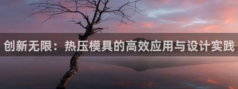 易倍达怎么样：创新无限：热压模具的高效应用与设计实践