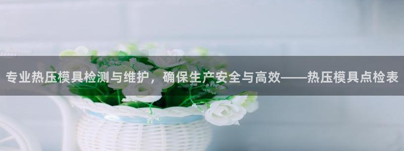 易倍单词登录网站：专业热压模具检测与维护，确保生产安全与