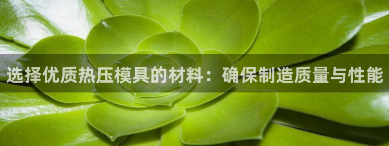 易倍达科技有限公司官网：选择优质热压模具的材料：确保制造