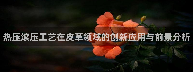 易倍电竞：热压滚压工艺在皮革领域的创新应用与前景分析