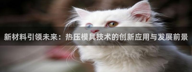 emc易倍登录：新材料引领未来：热压模具技术的创新应用与