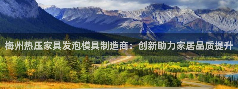 易倍科华生物科技有限公司：梅州热压家具发泡模具制造商：创